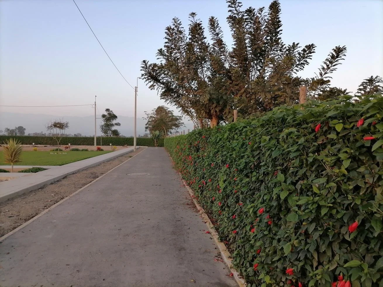 Vista de la urbanización